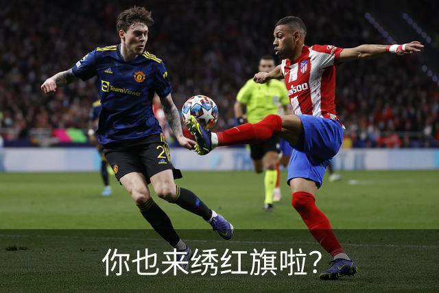 你也来绣红旗啦？
