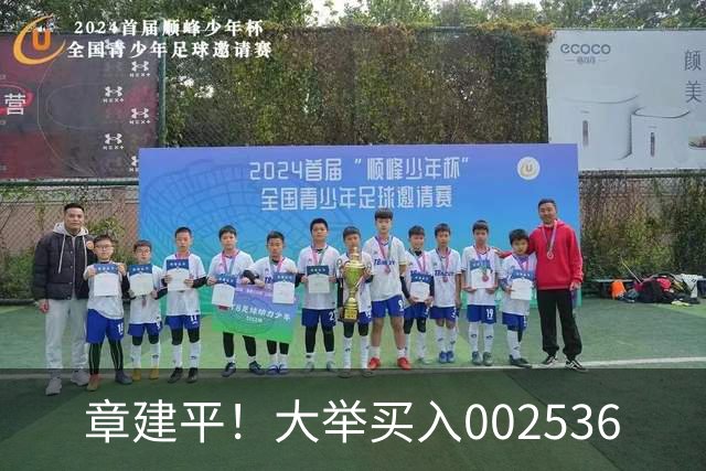 章建平！大举买入002536